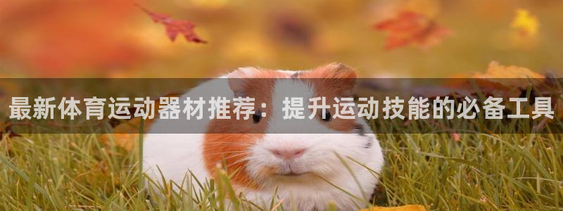 欧亿体育官方平台体育:最新体育运动器材推荐:提升运动技能的必